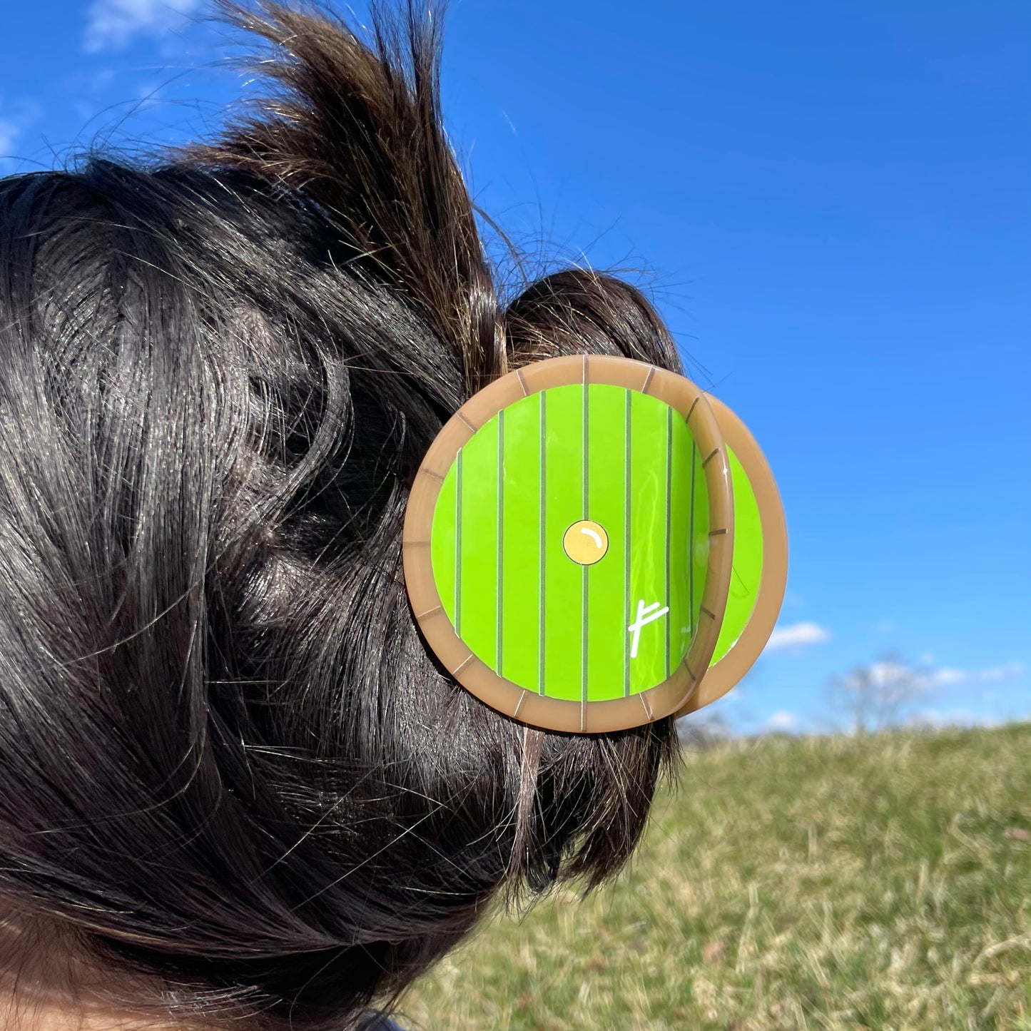 Hole in the Ground Inspired Hair Claw Clip